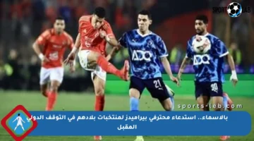 بالأسماء.. استدعاء محترفي بيراميدز لمنتخبات بلادهم في التوقف الدولي المقبل